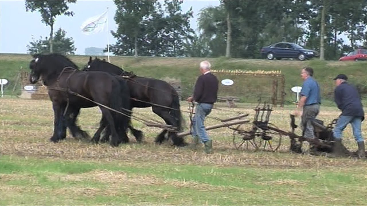 't Bildt 500 jaar in 2005, Agrarische activiteiten Deel-2