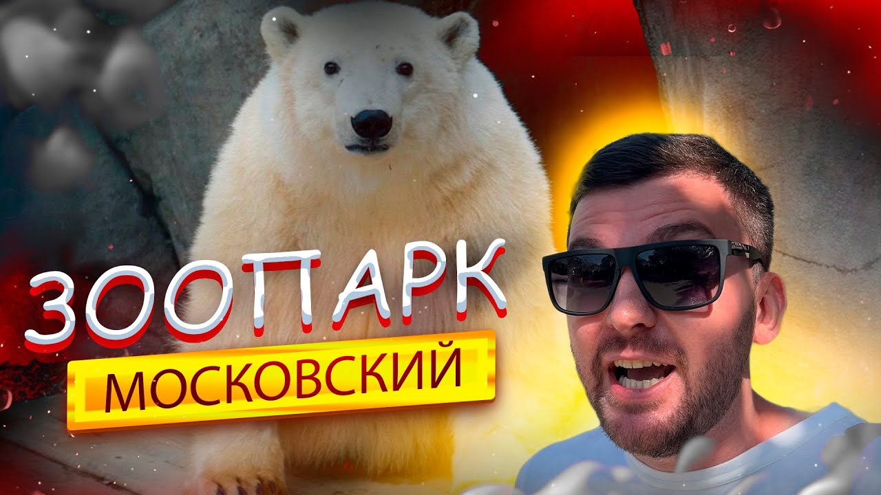 Московский ЗООПАРК! Новая Территория. Полный ОБЗОР! Развлечения в МОСКВЕ. Белый МЕДВЕДЬ, Лев, Жираф!