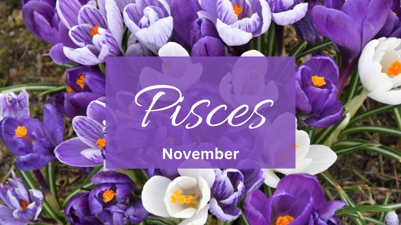 Pisces❤️They want ur forgiveness for all the lies that ruined things.. But can they change??