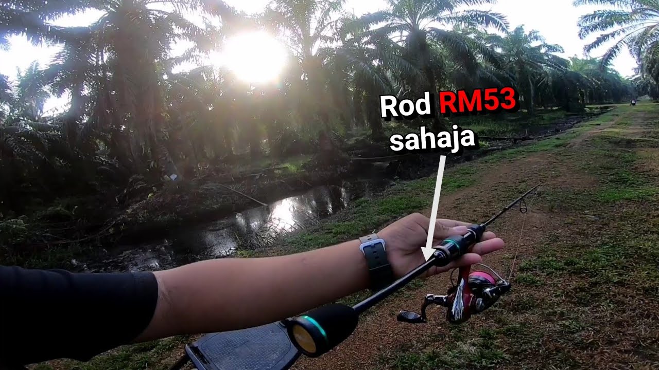 ROD RM53 sahaja_Casting haruan /Ikan gabus_ultralight fishing #mubinsaat