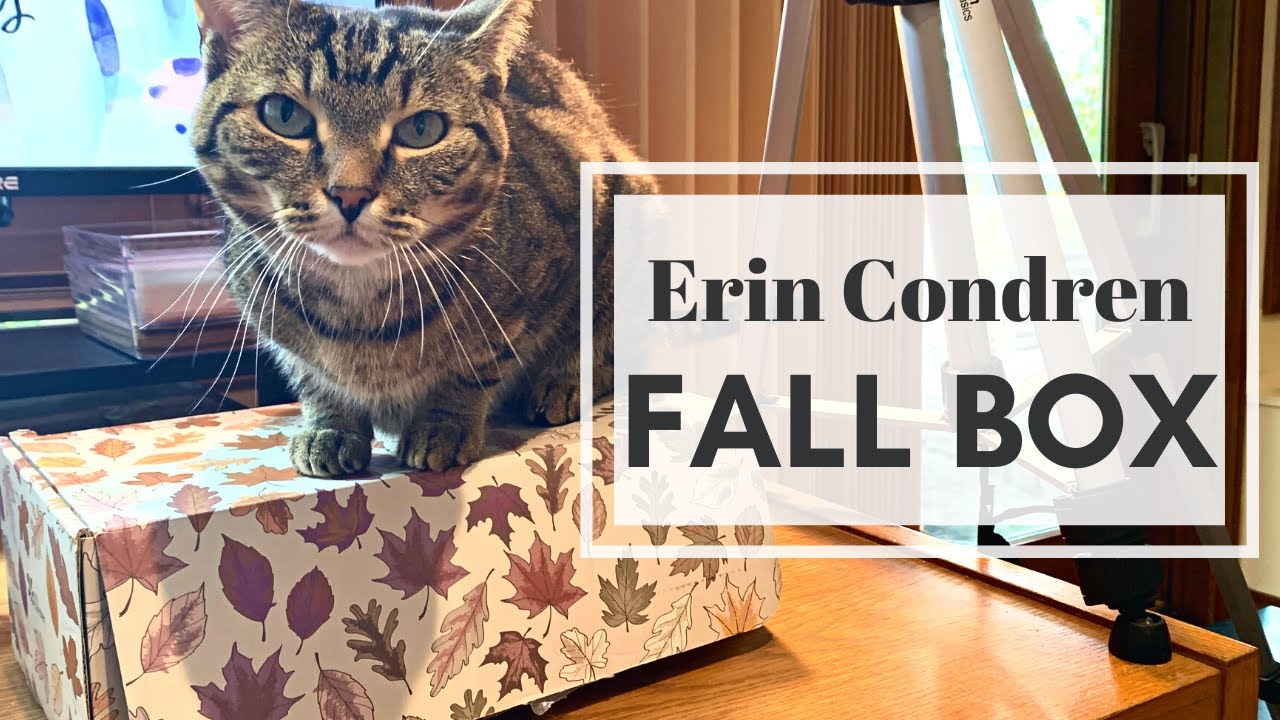 Erin Condren Fall 2022 Seasonal Surprise Box Review! | Washi Wednesday