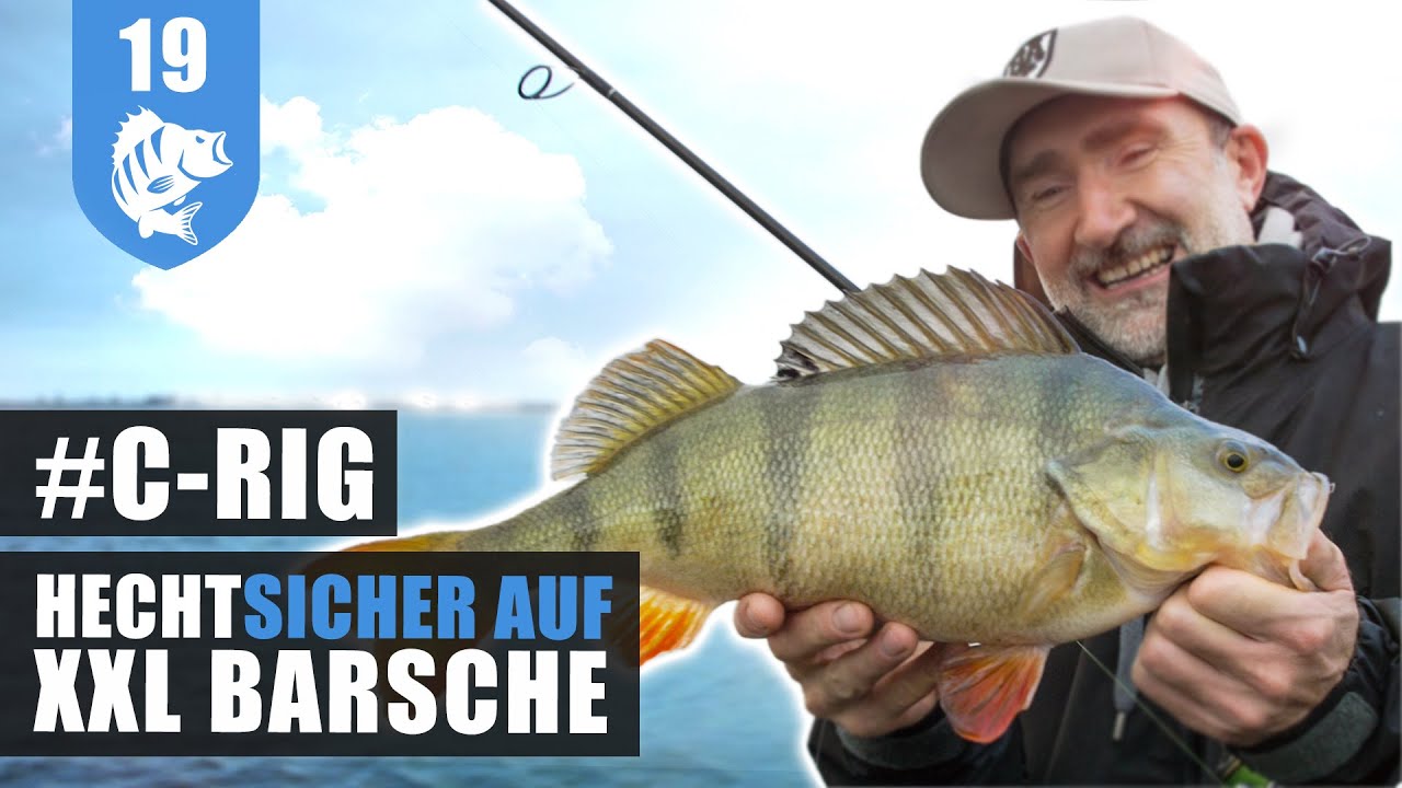 C-RIG: XTRA-HEAVY zum MONSTER-BARSCH