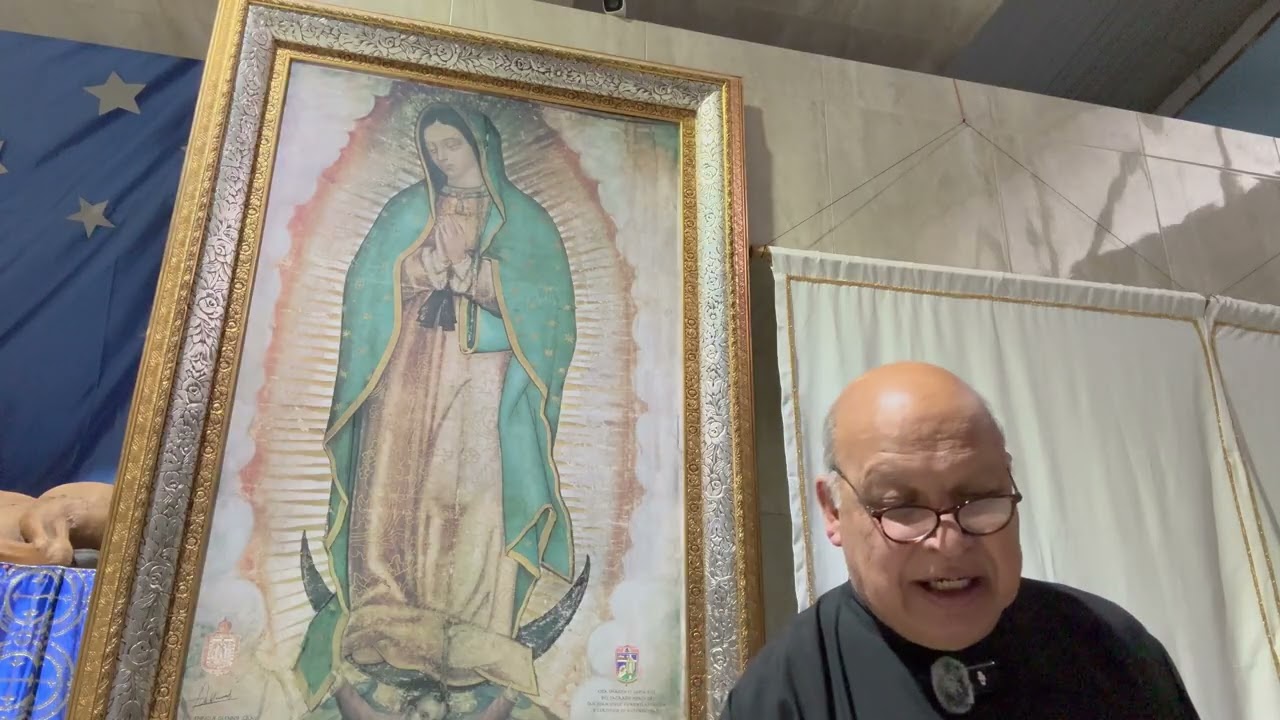 MARIOLOGIA 6: EL CULTO A LA VIRGEN MARIA; APARICIONES MARIANAS. 11 de enero de 2026