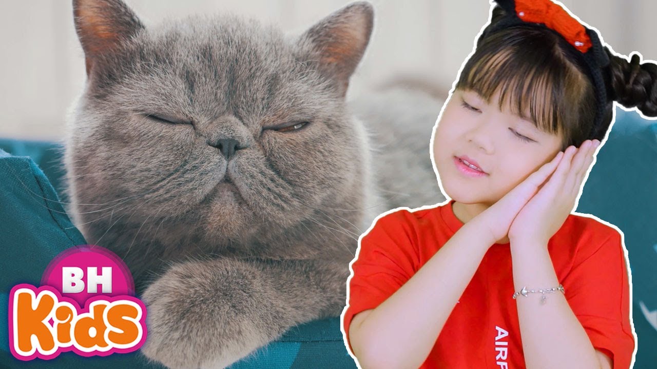 Bài Hát Thiếu Nhi CON MÈO Vui Nhộn Cho Bé - Mèo Lười, Con Mèo Mà Trèo Cây Cau, Mèo Với Chuột