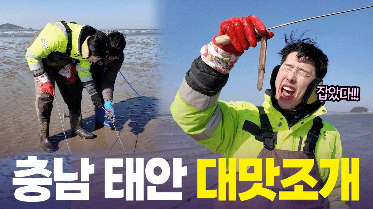 기다리는 자에게 복이 오나니😭윤쭈꾸가 꼽은 역대급 난이도 ‘태안 대맛조개’ [6시 내고향] | KBS 260211 방송