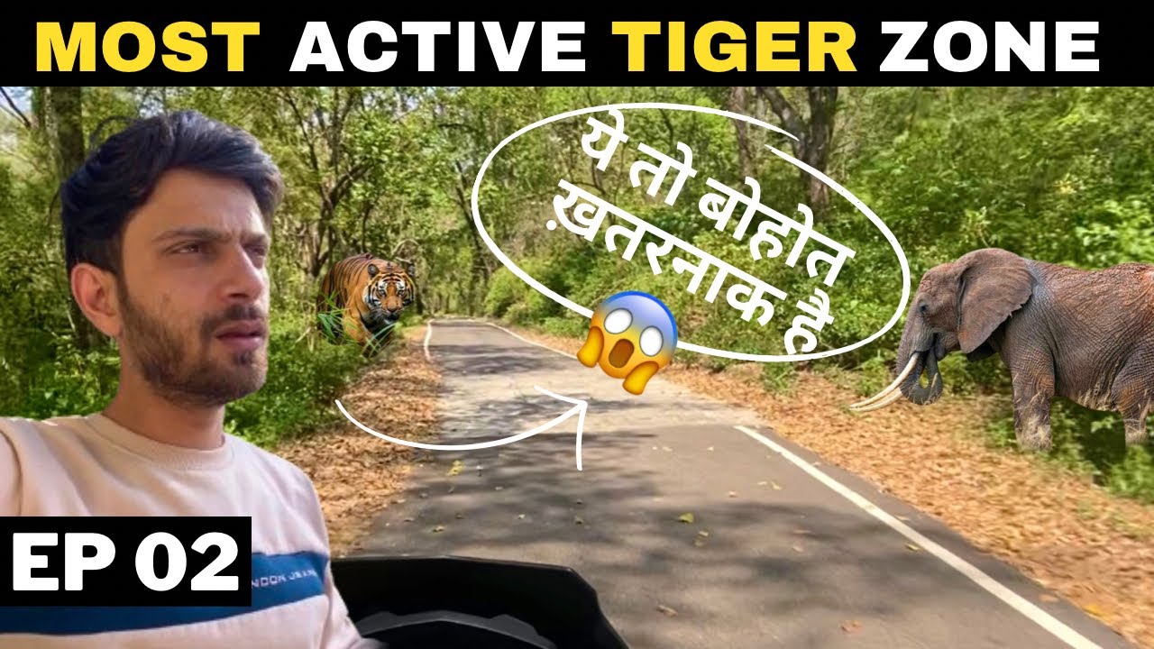 WENT Alone to MOST Tiger Active ZONE Near Dhikala 😱 Jim Corbett National Park !