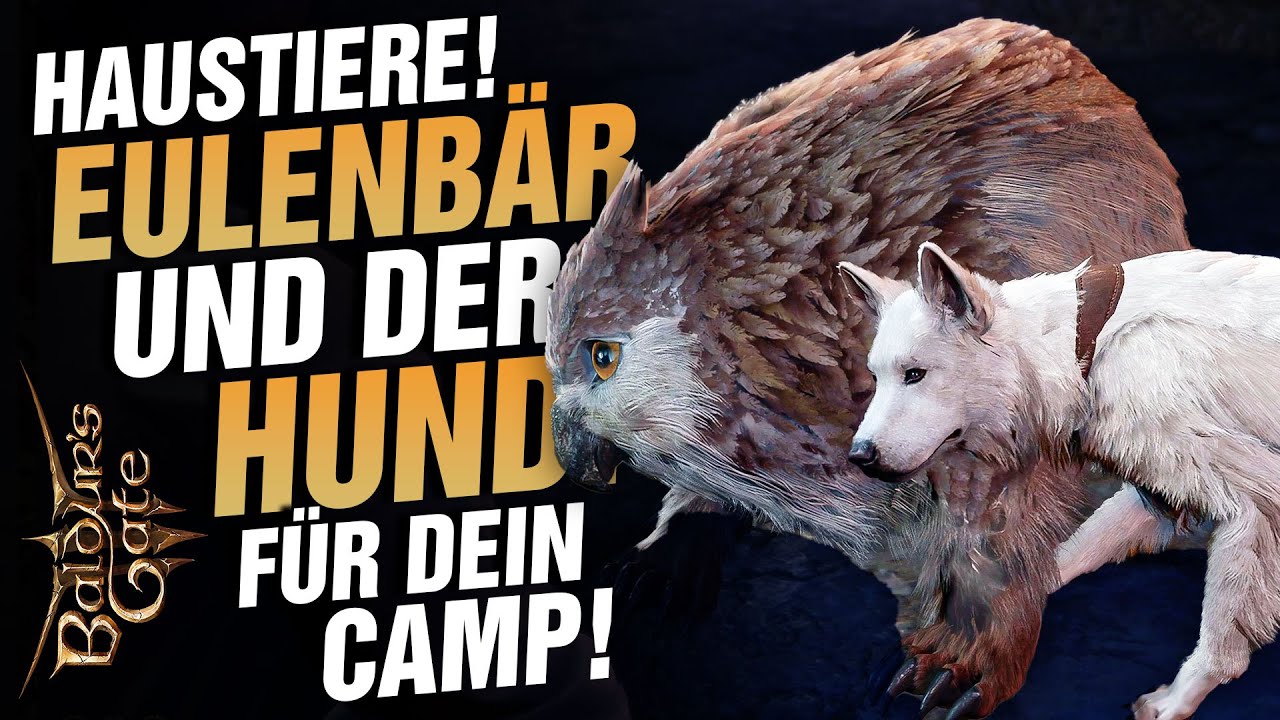 Hund KRATZER und der EULENBÄR für DEIN Camp in Baldurs Gate 3!