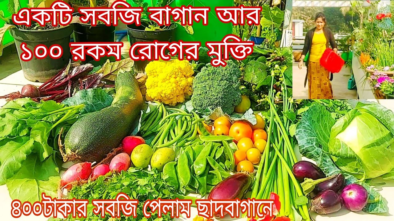 100 ti roger theke mukti paben Nijer hate ekti bagan korlei. #roofgarden