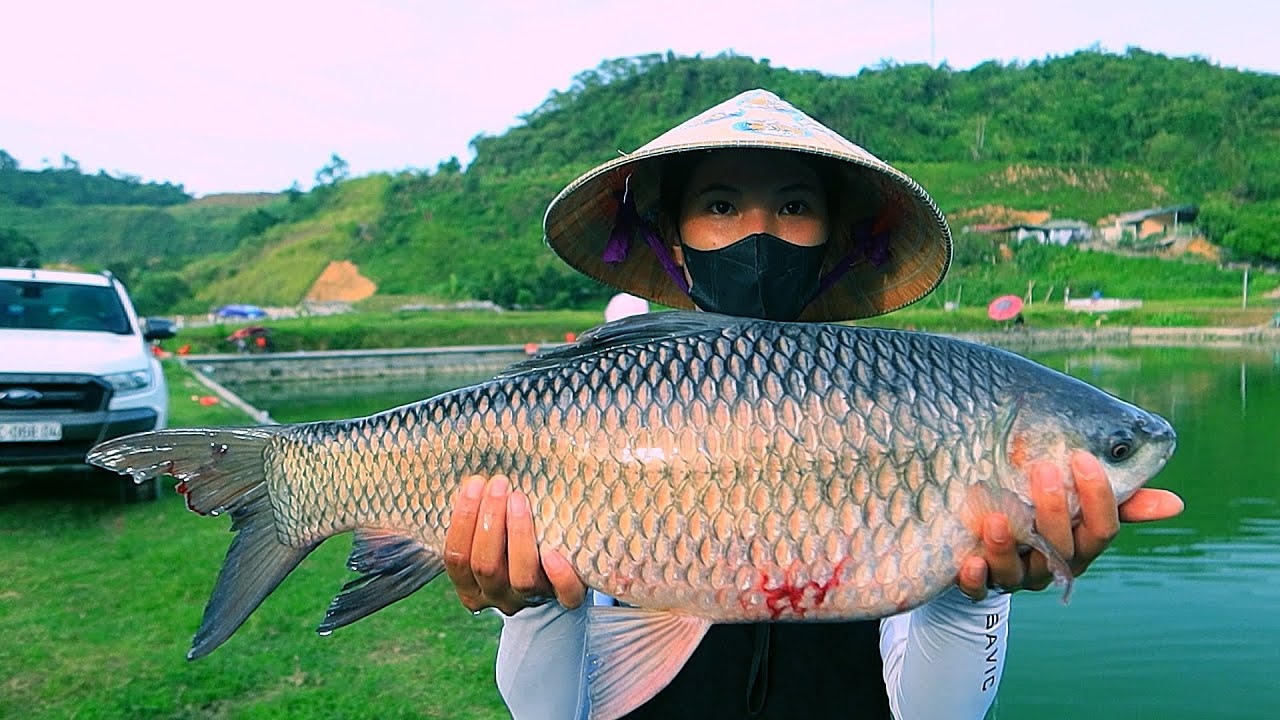 CÂU CÁ ở LÀO CAI - Mồi Câu Tổng Hợp