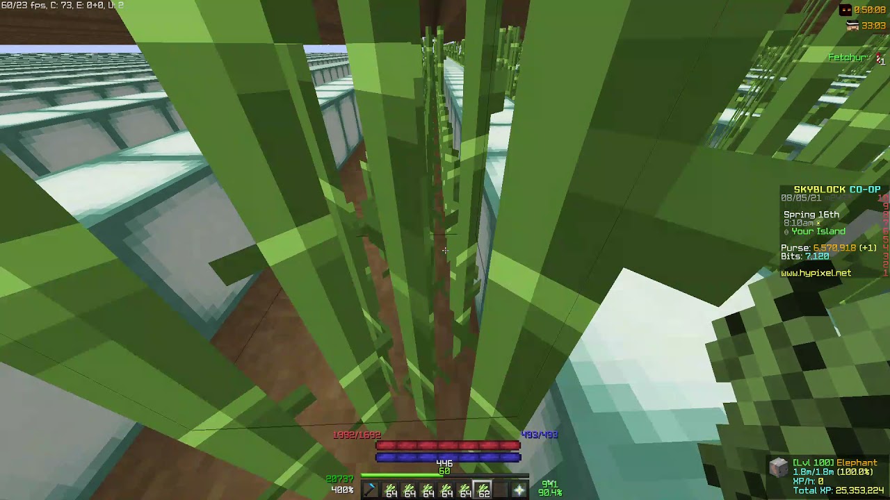Placing cane on crack (Hypixel skyblock)
