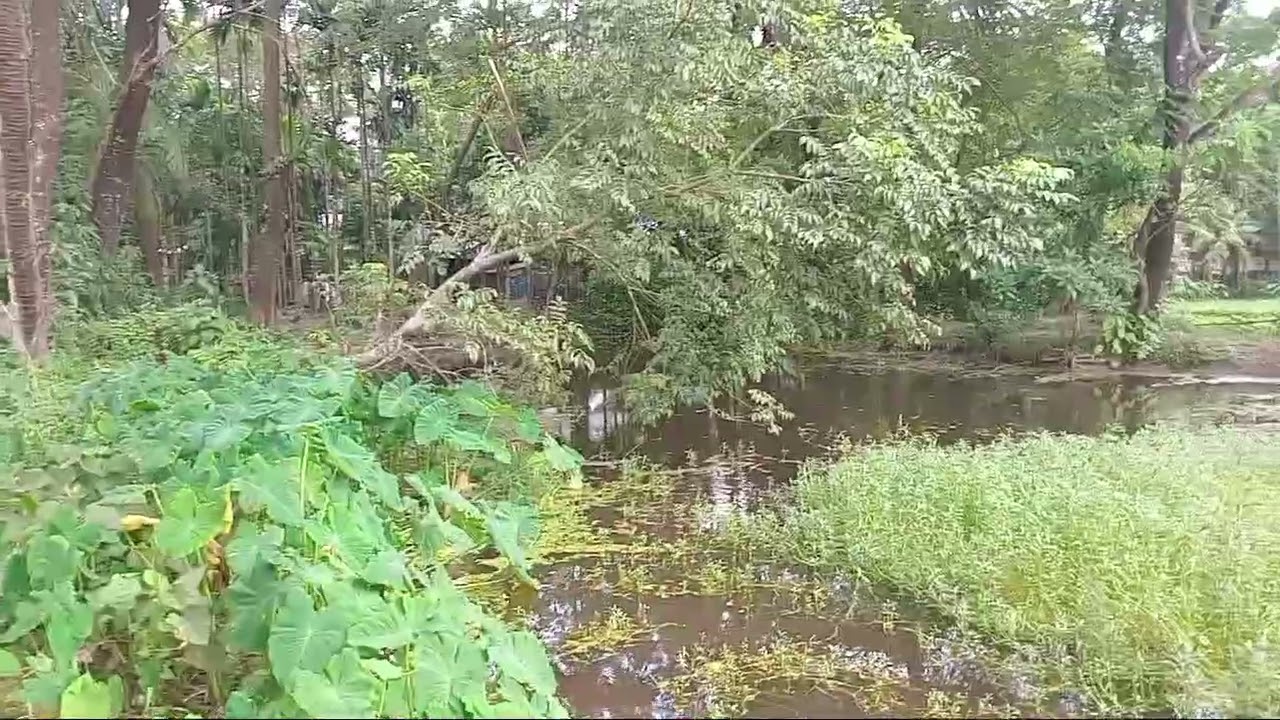 নাছির ইলেকট্রিক পশ্চিম জুরাইন কবরস্থান রোড শ্যামপুর ঢাকা ০১৯২৩৮১৮১৫০ বরিশাল ভোলা 6/9/2025/ শনিবার 