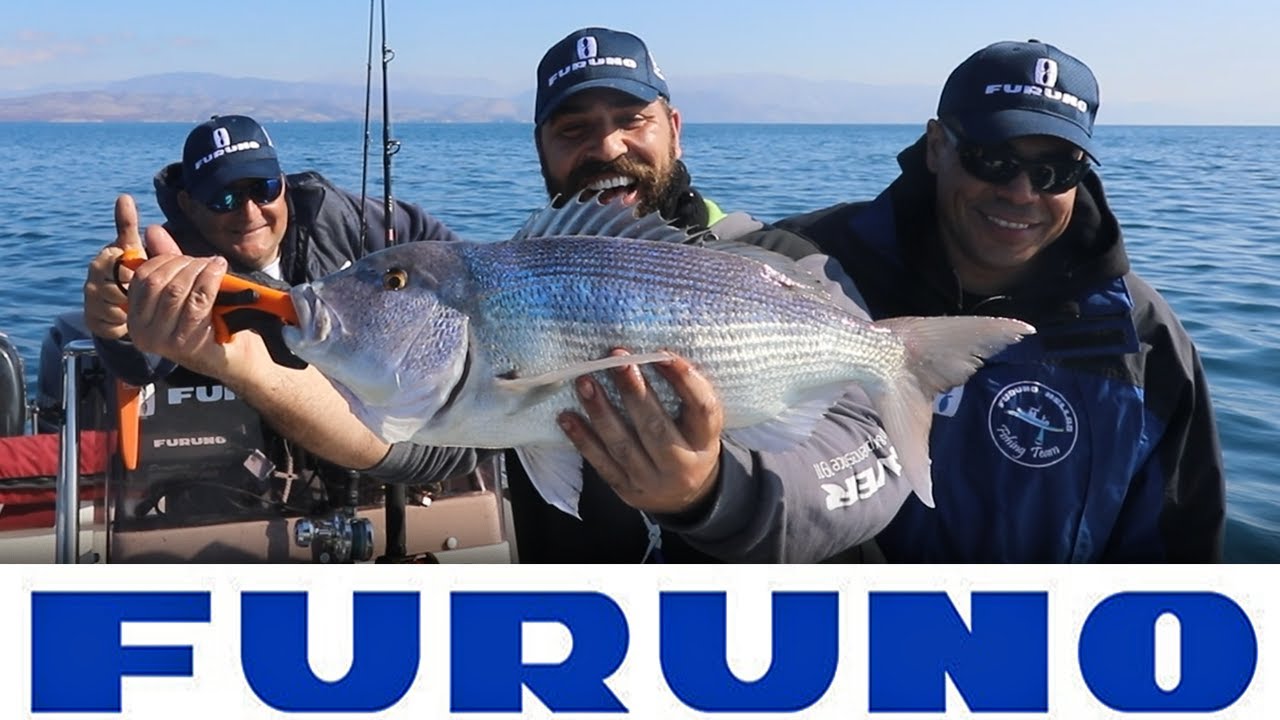 FURUNO ΚΑΙ BDS | ΣΥΝΑΓΡΙΔΑ CATCH & RELEASE feat. ZAVRAS FISHING