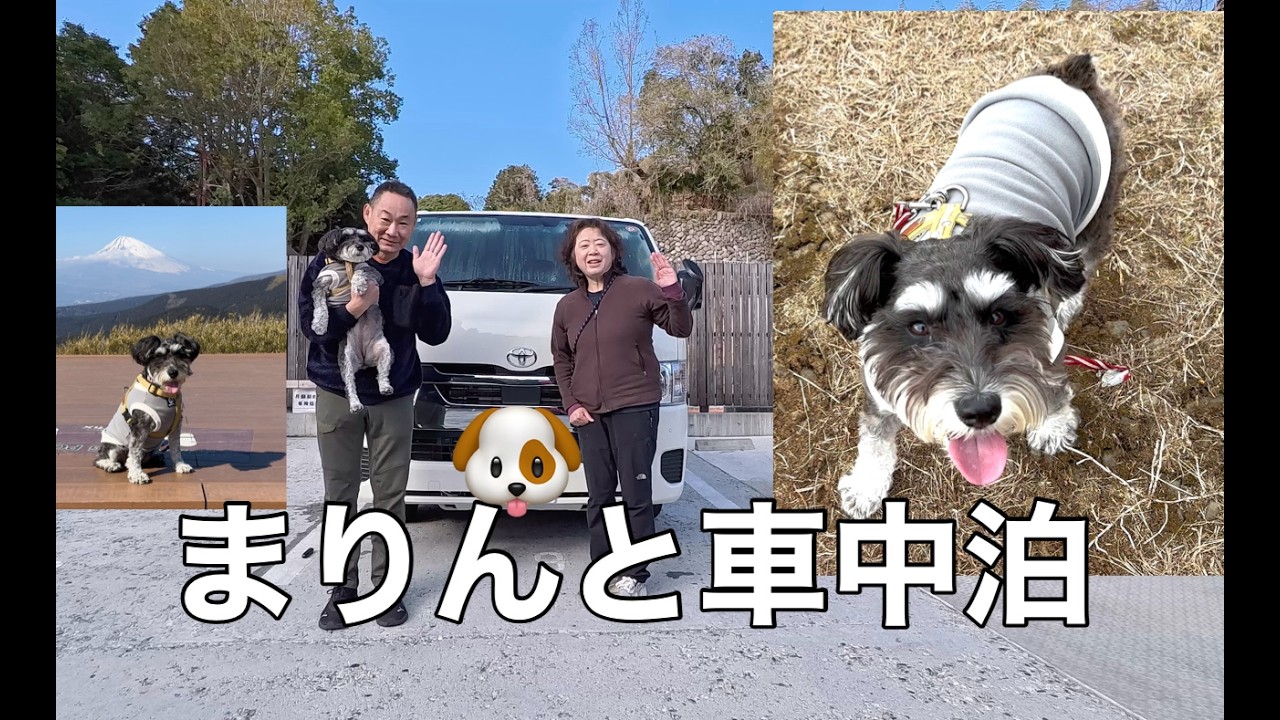 愛犬まりんと行く伊豆長岡温泉RVパークさかなステイ｜ハイエースでほっこり車中泊