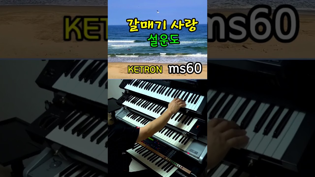 #shorts#SOLTON ms60#갈매기 사랑(설운도)