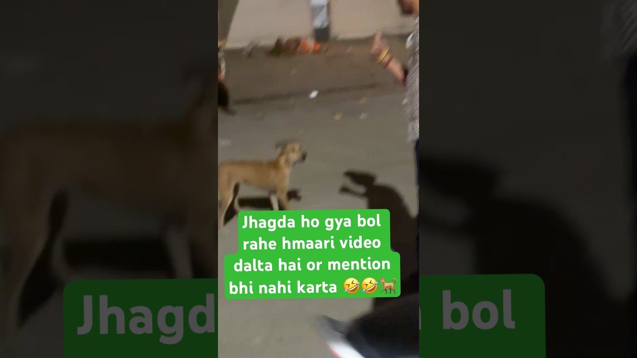 Dog prank with dogs #deepaktilli #funny #comedy #dogsprank