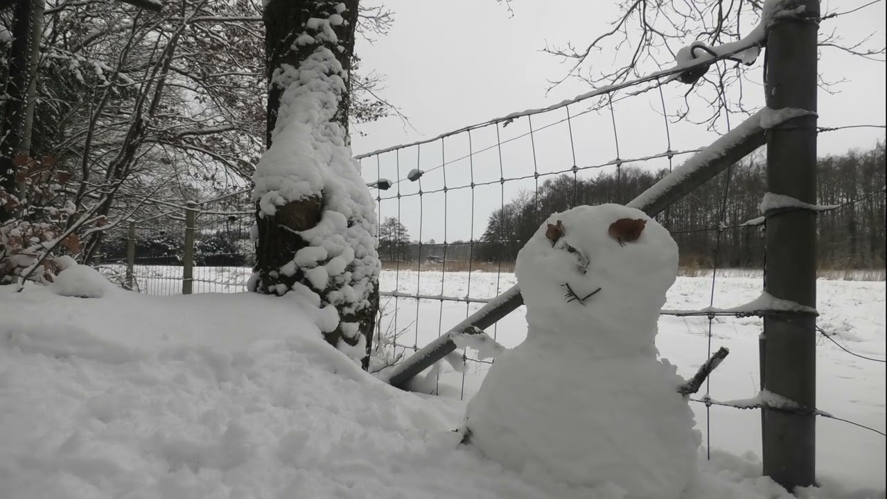 Bussum Gijzenveen winter 2026