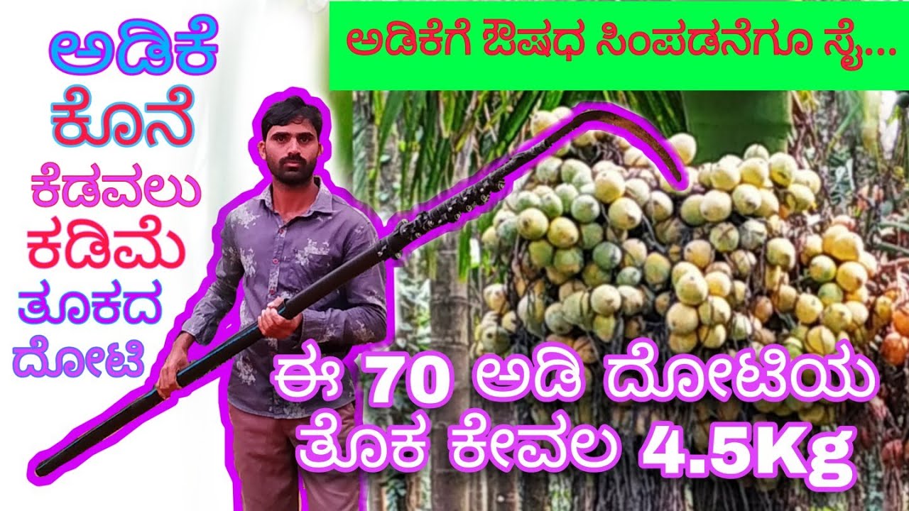 ಕಾರ್ಬನ್ ಫೈಬರ್ ದೋಟಿ | ಅಡಿಕೆ ಕೆಡಗುವುದು - ಔಷಧಿ ಸಿಂಪಡನೆ-Arecanut hervester