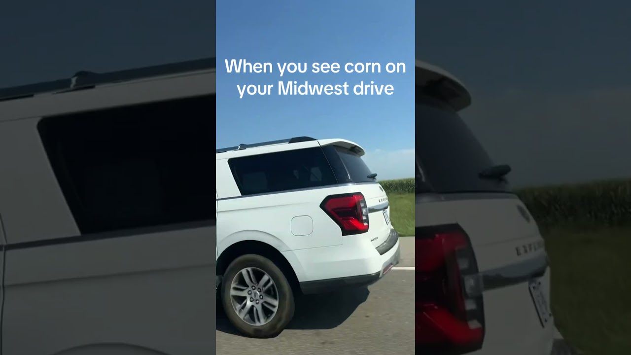 When you see corn on your Midwest drive #corn #midwest #nebraska #shorts