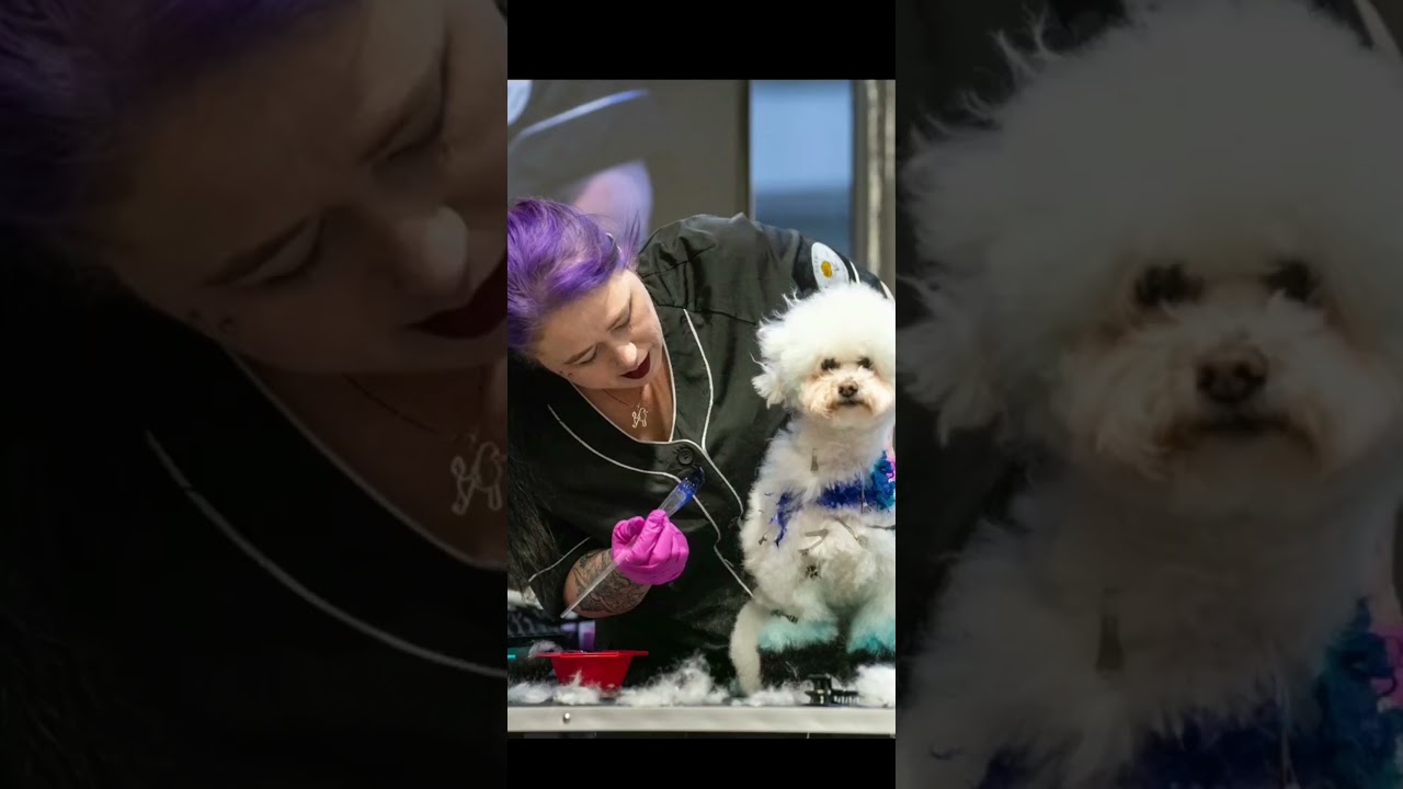 Lori Craig: A Creative Grooming Legend & Her Final Masterpiece  #opawz #creativegrooming #dog #pets
