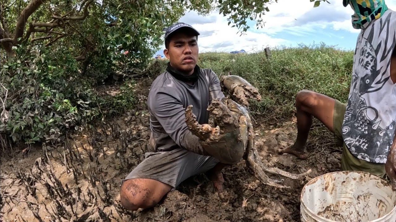 Amazing Monster Crab Found in a hole