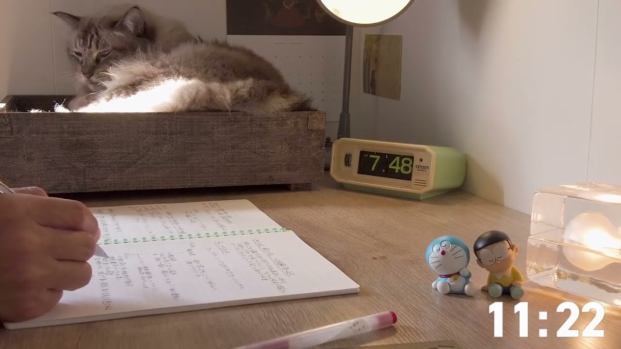 【study with me】50/10 pomodoro 3hours | Rain Sounds☔ |