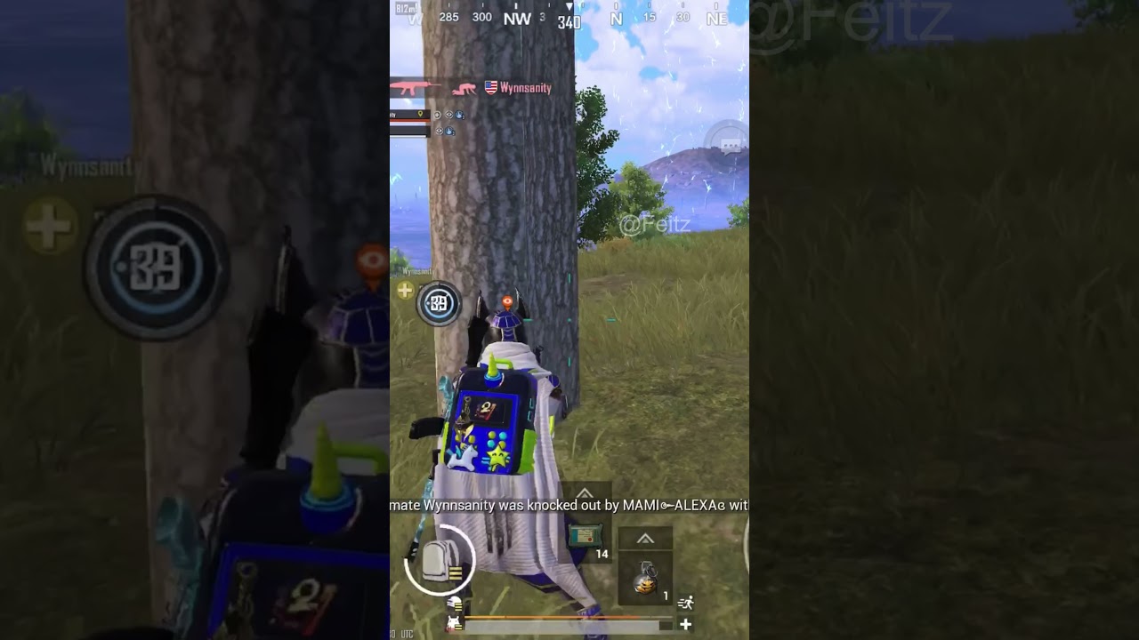 saving wynnsanity while he was streaming