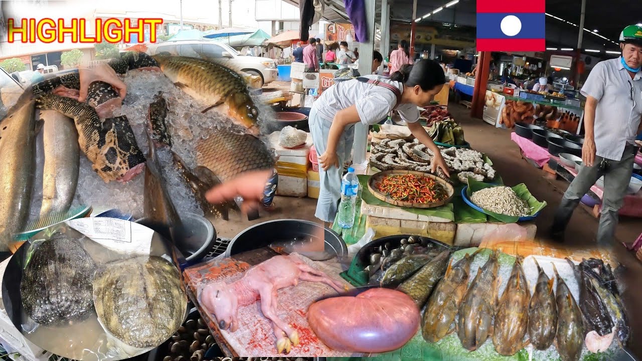 เดีนตะหลาดสดในสปปลาวของป่าของแปกแบบบ้านนาเยอะมากๆ ຕະຫລາດລາວໄຫຍ່ສຸດຂອງລາວ