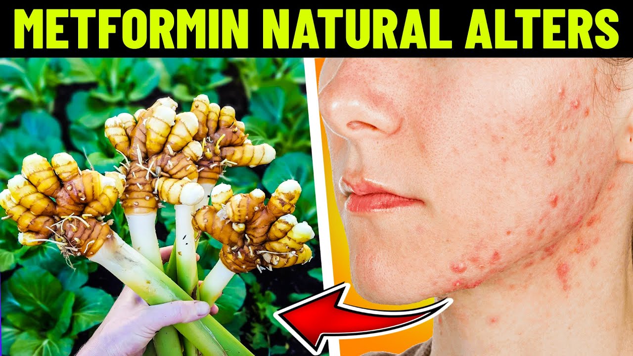 5 Natural Alternatives to Metformin | The HEAL Network