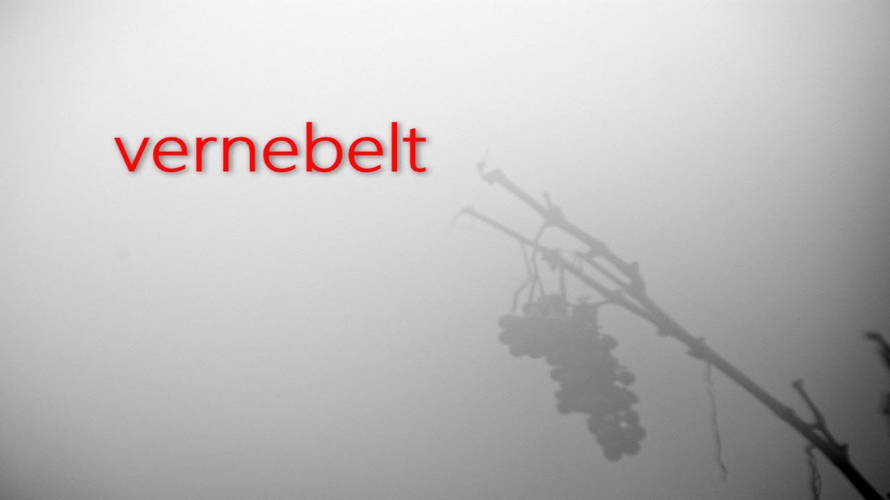 vernebelt