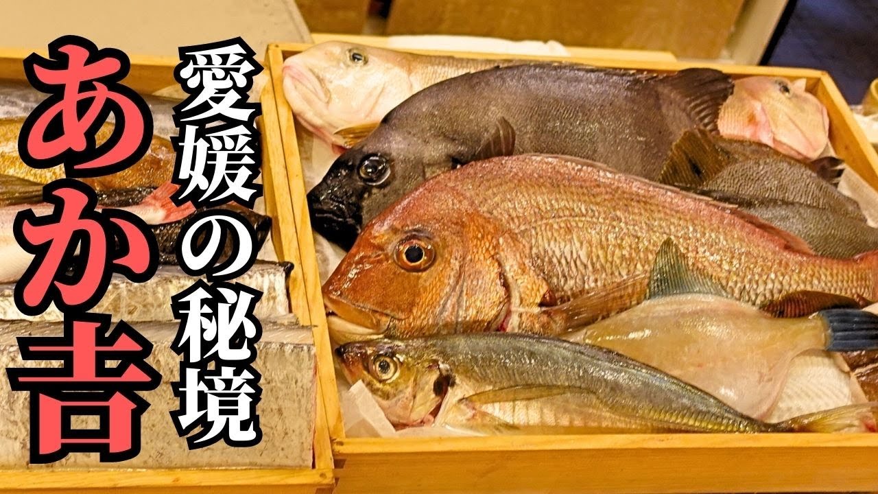 【瀬戸内の鯛はなぜこんなにもうまいのか】日本最高峰のカリスマ漁師「藤本さん」といただく地物三昧！しまなみ街道の島に浮かぶ秘境ミシュラン店【あか𠮷】