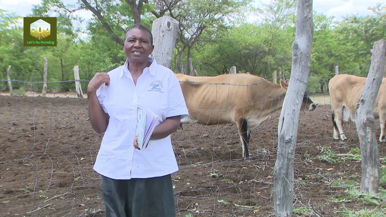 DAIRY FARMING & BIO GAS MAKING WITH CHARITY MUJIMBWA
