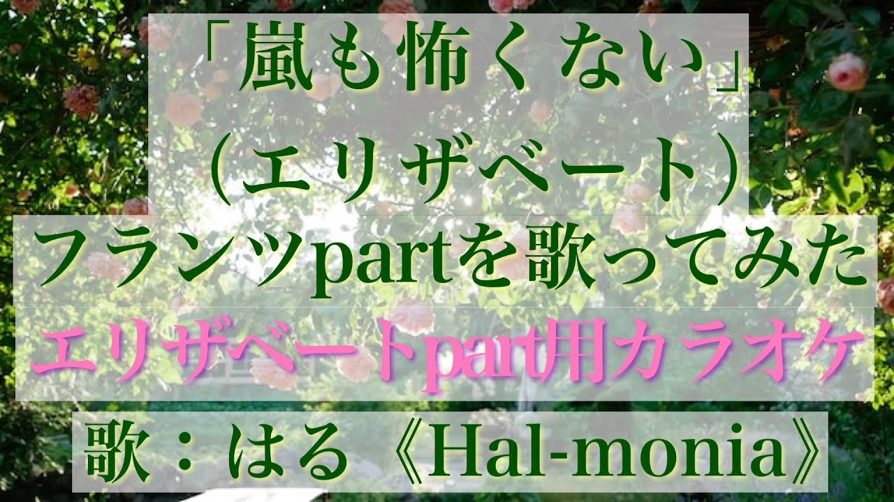 「嵐も怖くない」フランツパートを歌ってみた（宝塚ver.）（エリザベートパート用カラオケ）（Nichts ist schwer/Elisabeth：Only Franz-Joseph）