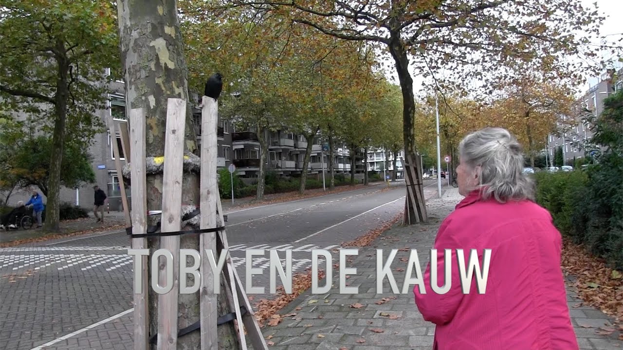 TOBY EN DE KAUW