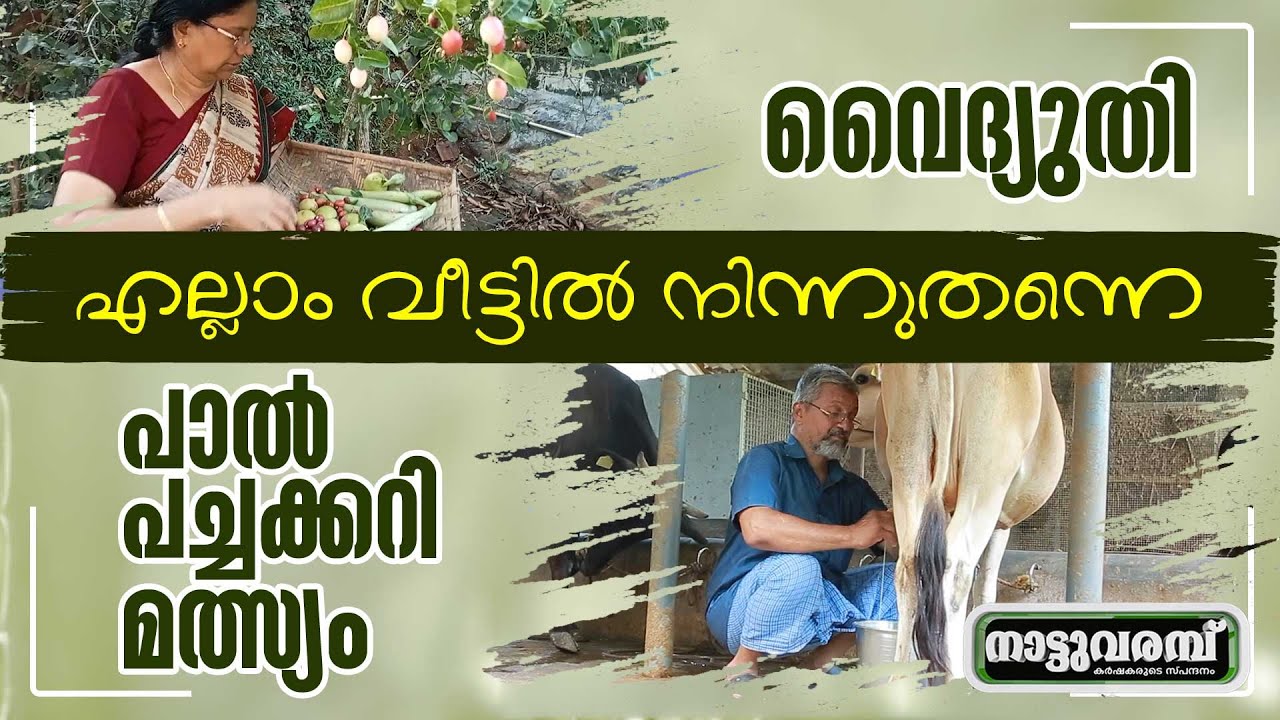 പാൽ, പച്ചക്കറി, മത്സ്യം, എല്ലാം വീട്ടിൽ നിന്ന് തന്നെ |NATTUVARAMBU #243 | PART 02 | JANAM TV