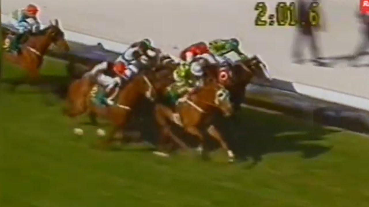 1992 Cox Plate - in depth look at the greatest field assembled in the race's history