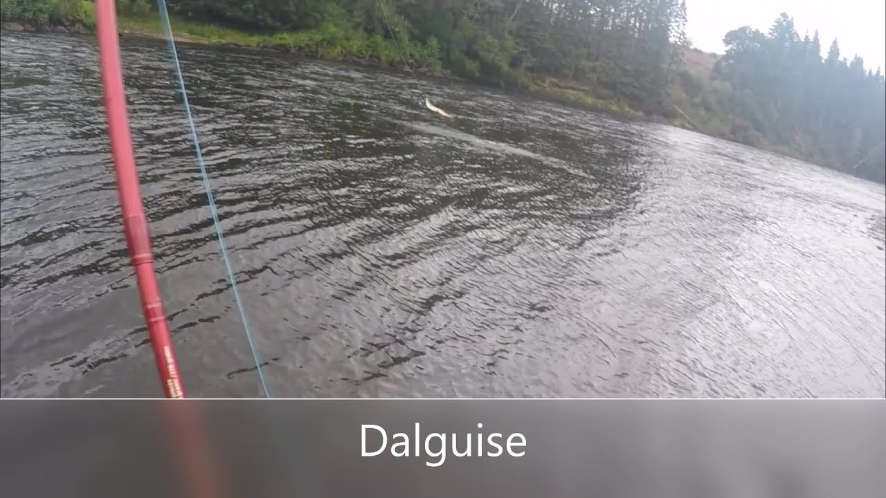 Dalguise 21st August 21
