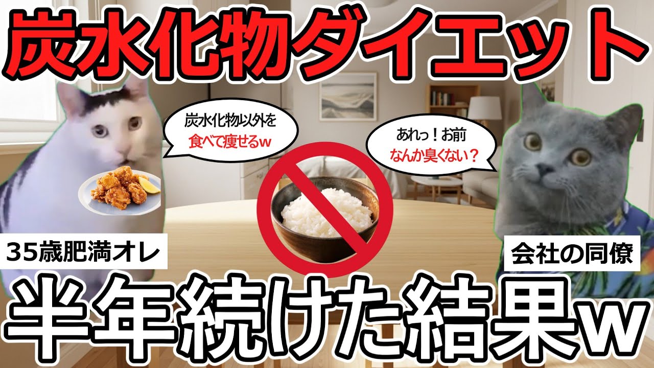【猫ミーム】悲惨！炭水化物抜きダイエットを半年続けた結末ww