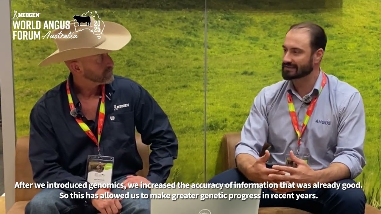 Brazil Angus - World Angus Forum