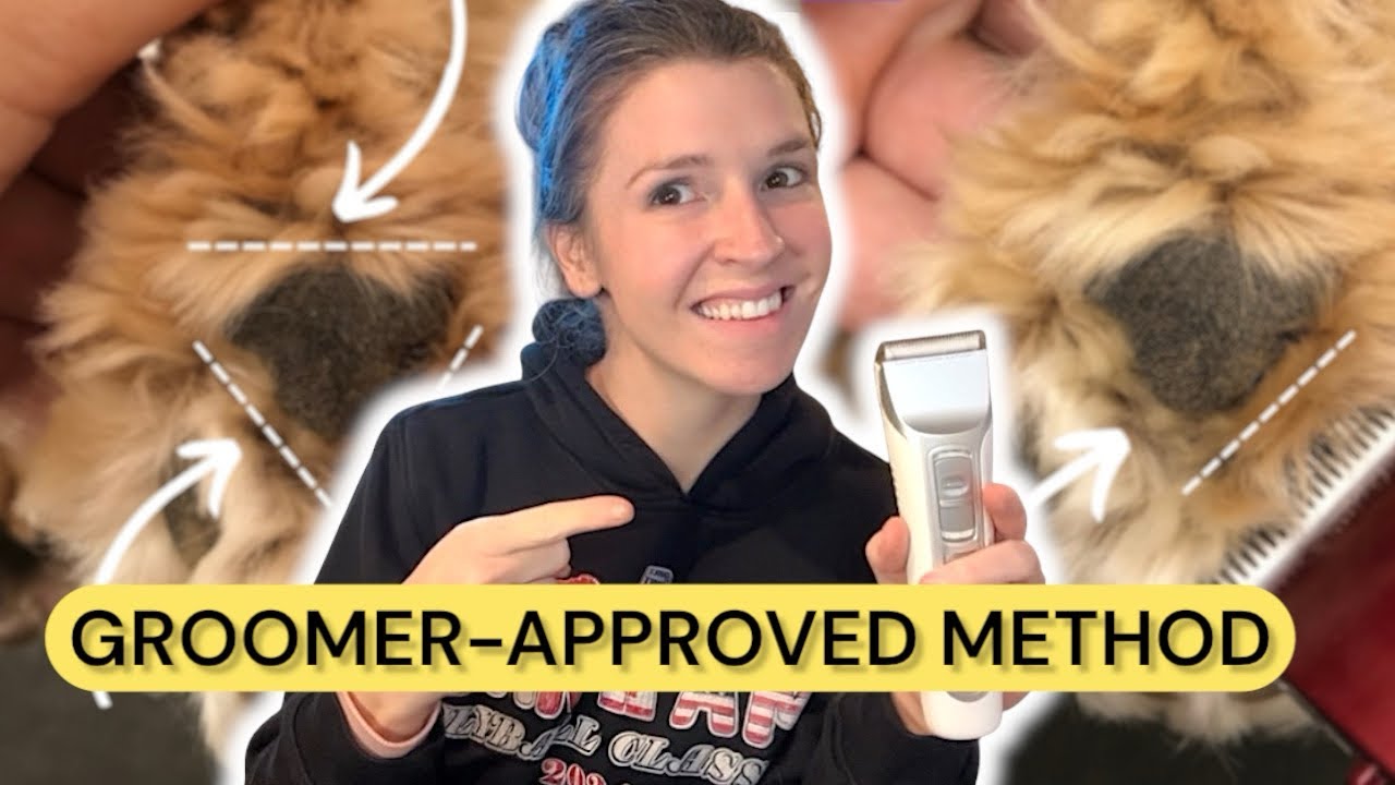 How to Shave the Pads on a Dog – The Right Way!