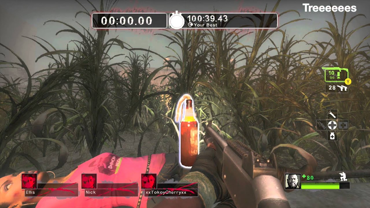 Pills & Molotov Stuck to Rochelle - L4D2