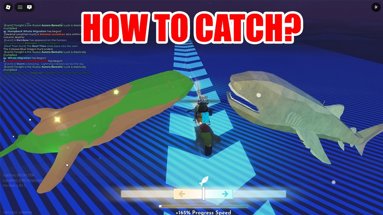 FISCH &mdash; ROBLOX &mdash; КАК ПОЙМАТЬ БОЛЬШЕРОТУЮ АКУЛУ И ГОРБАТОГО КИТА? JOHN GAMING