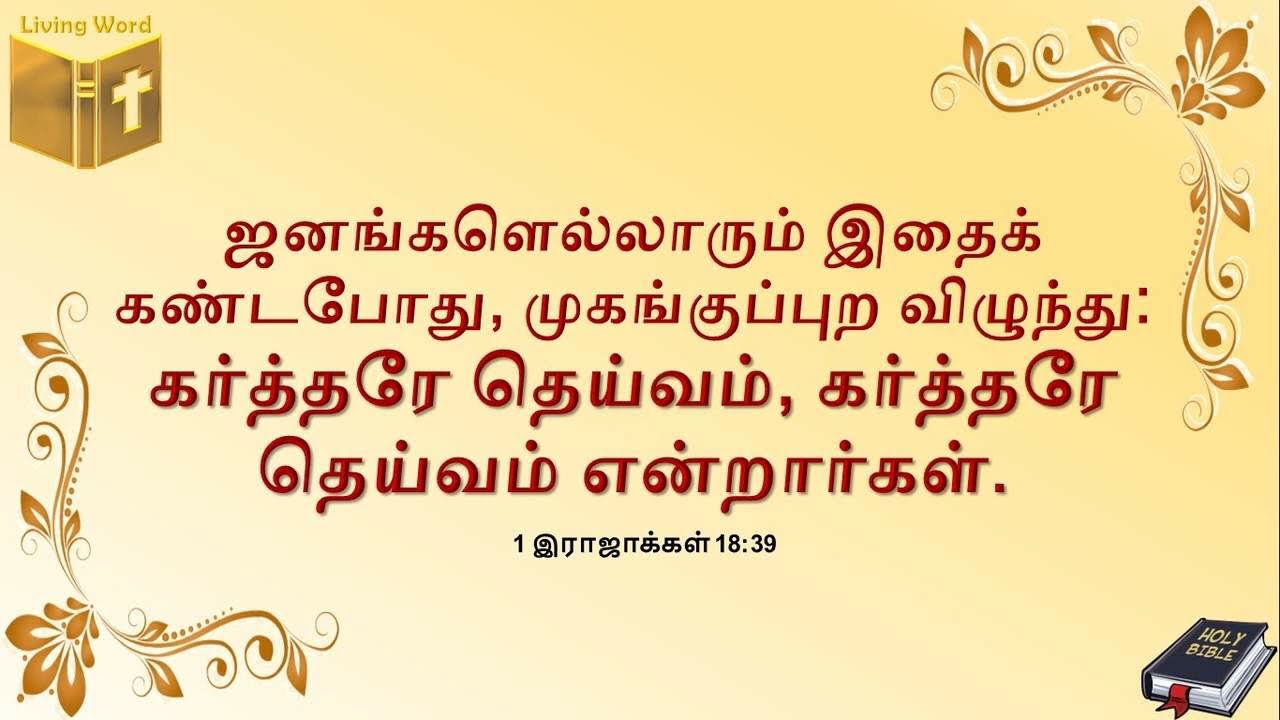 Food for the Soul - 1 Kings 18:39 - Elijah's spirit to raise praise
