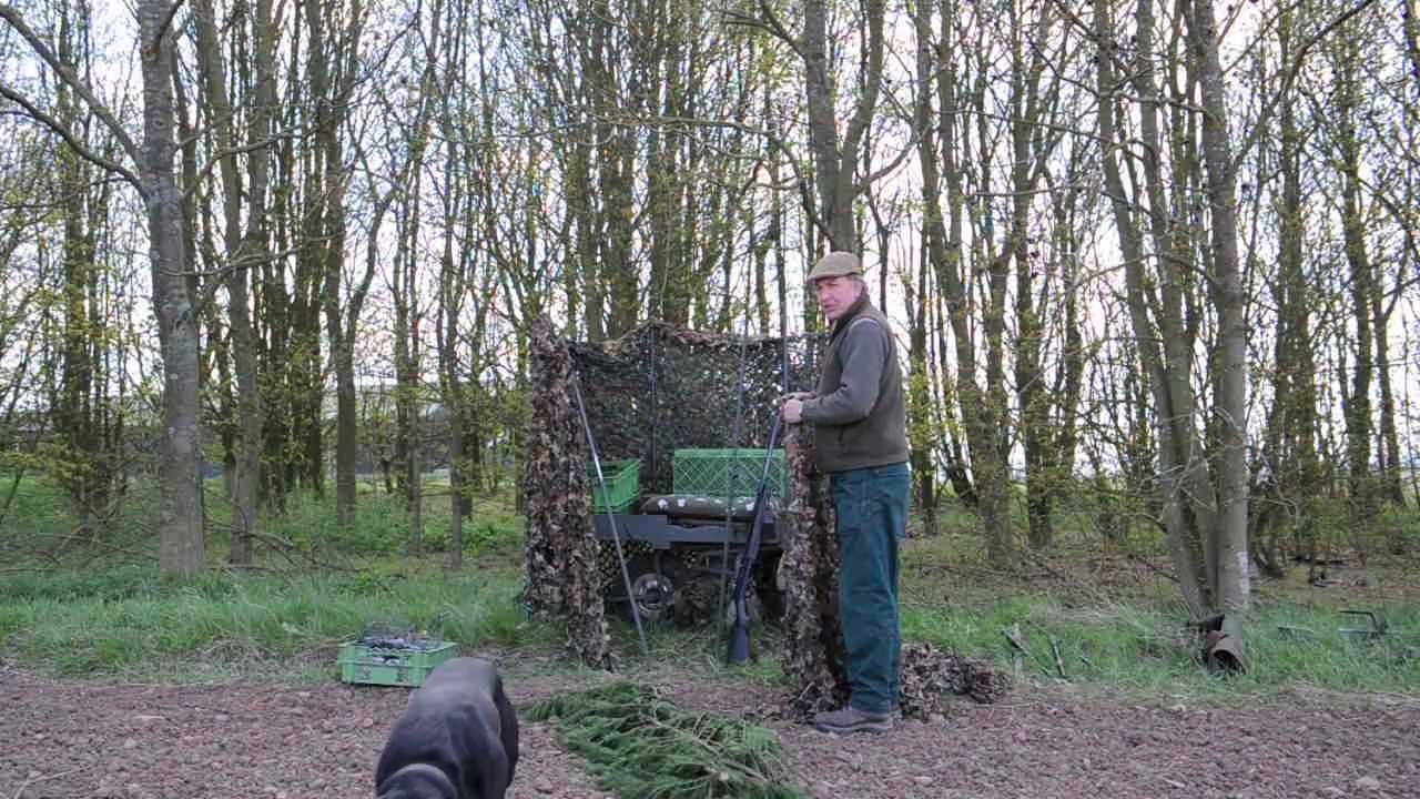 Pigeon Decoying: Carrying equipment and building a hide using an electric barrow