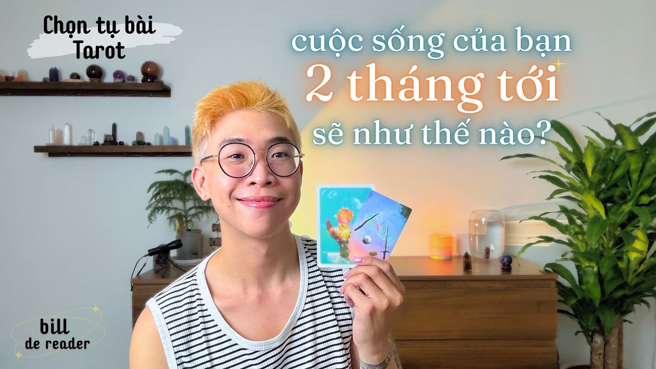 🌊 Cuộc sống 2 TH&Aacute;NG TỚI của bạn sẽ như thế n&agrave;o? 🎋 | tarot 🔮