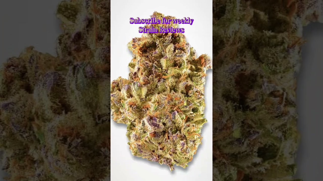 Weekly THCA Strain Reviews! Subscribe to THCA Honest Reviews!