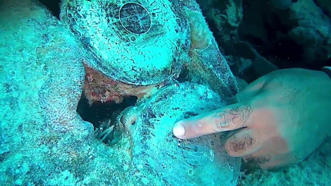 Immersioni - THISTLEGORM - Sharm El Sheikh - 02 Settembre 2023
