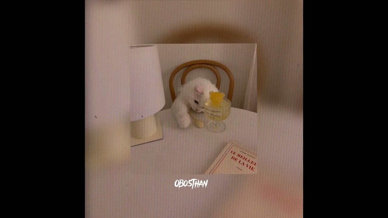Obosthan -speed up||{on request}||