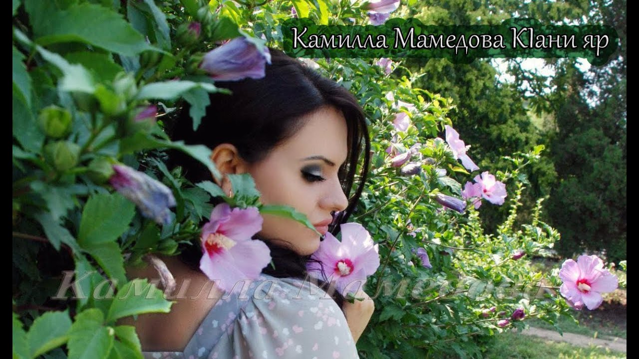Камилла Мамедова  KIани яр