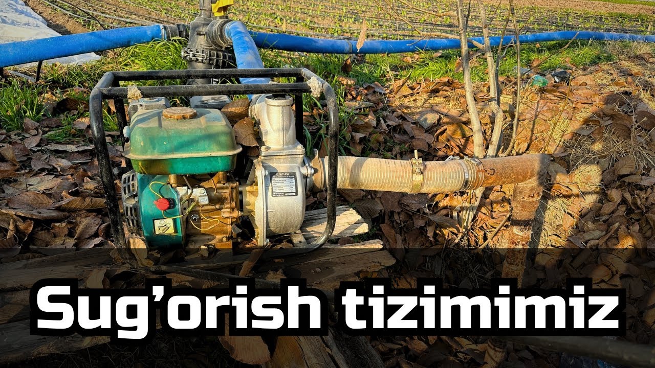 Fermerlar Uchun Eng Oson Sug‘orish Tizimi | Tomchilab sugorish