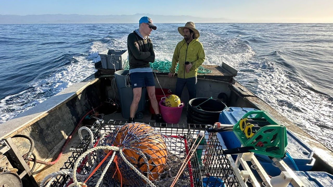 Trialling How Ropeless Fishing Gear Performs in California Box Crab Fishery